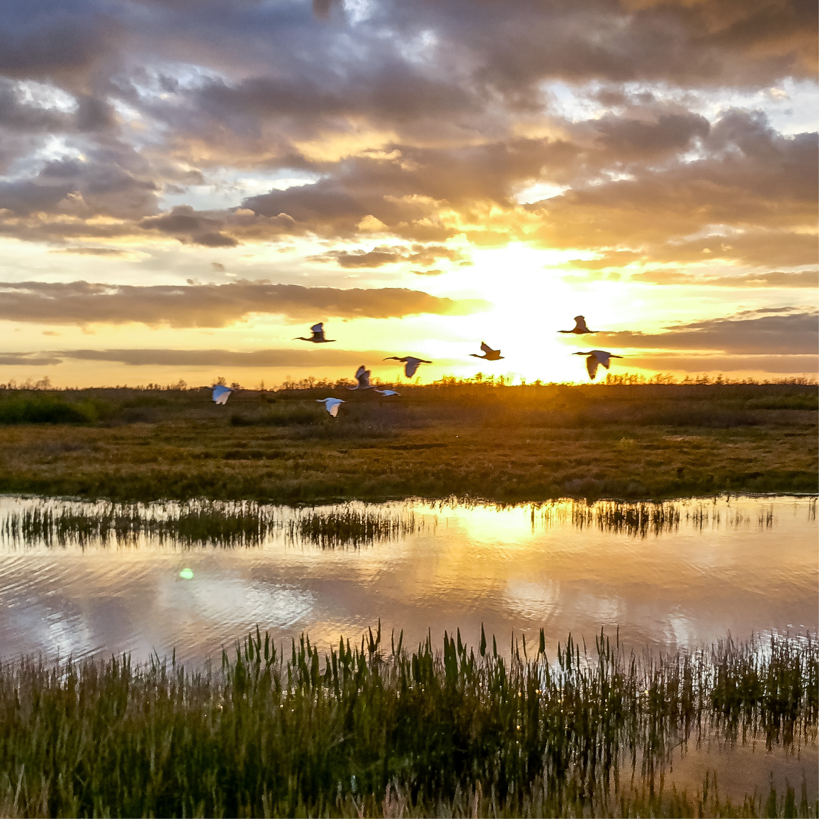 Master of Arts in Environmental Law